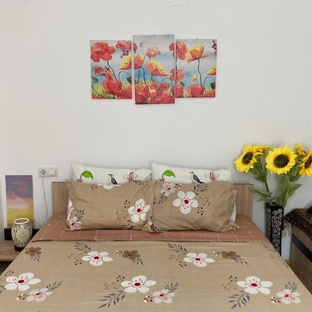 The Charming One Apartman Brassó Kültér fotó